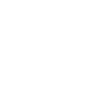 Japan Electronics