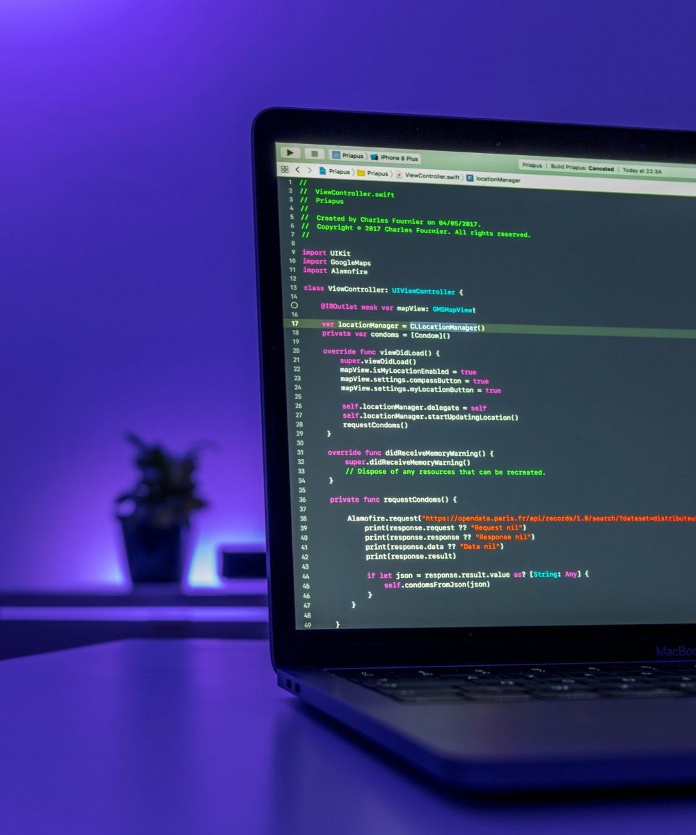 custom web development custom web development