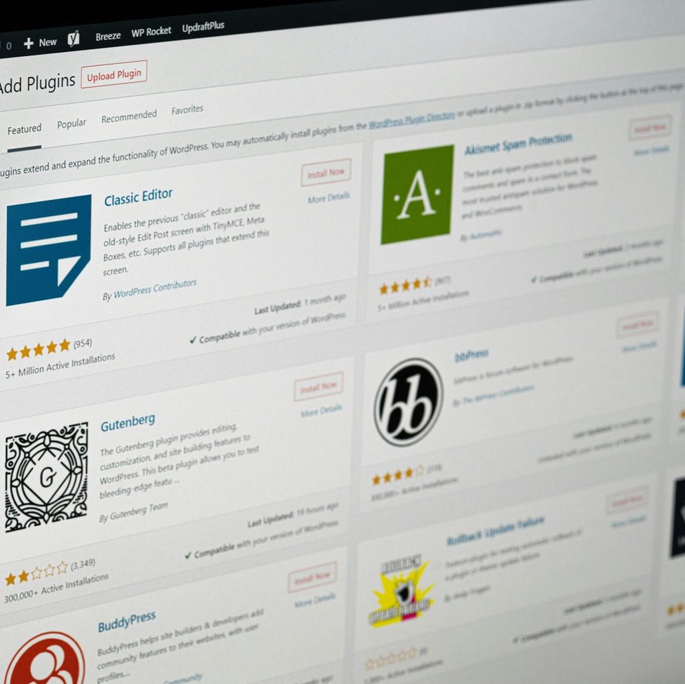 wordpress developer near me wordpress developer near me